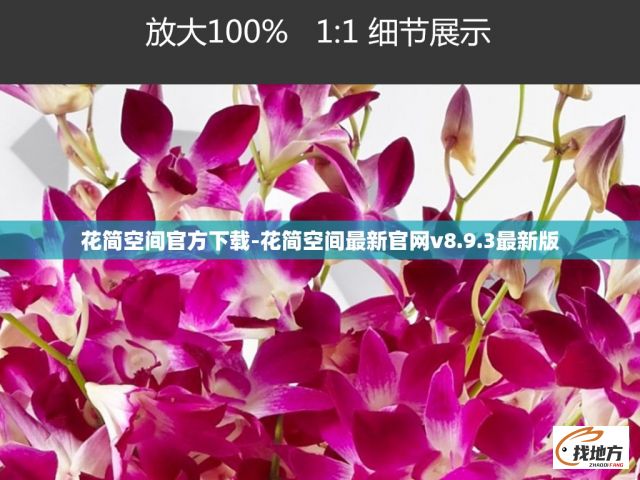 花简空间官方下载-花简空间最新官网v8.9.3最新版